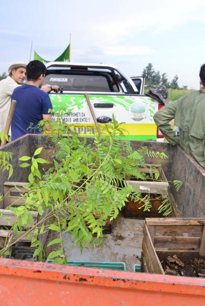 Primera Plantación de la Temporada